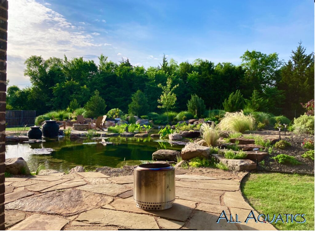 Scenic backyard pond with lush greenery and plants.