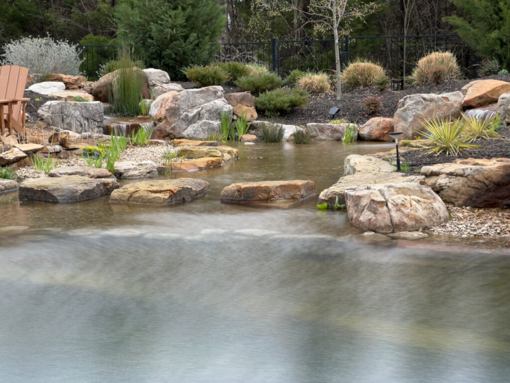 Peaceful garden stream with rocks and plants.